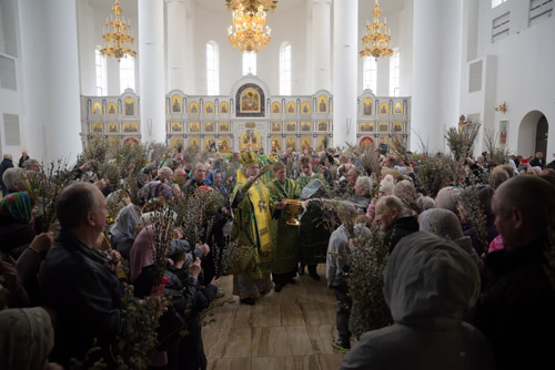Увеличить изображение