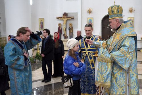 Увеличить изображение